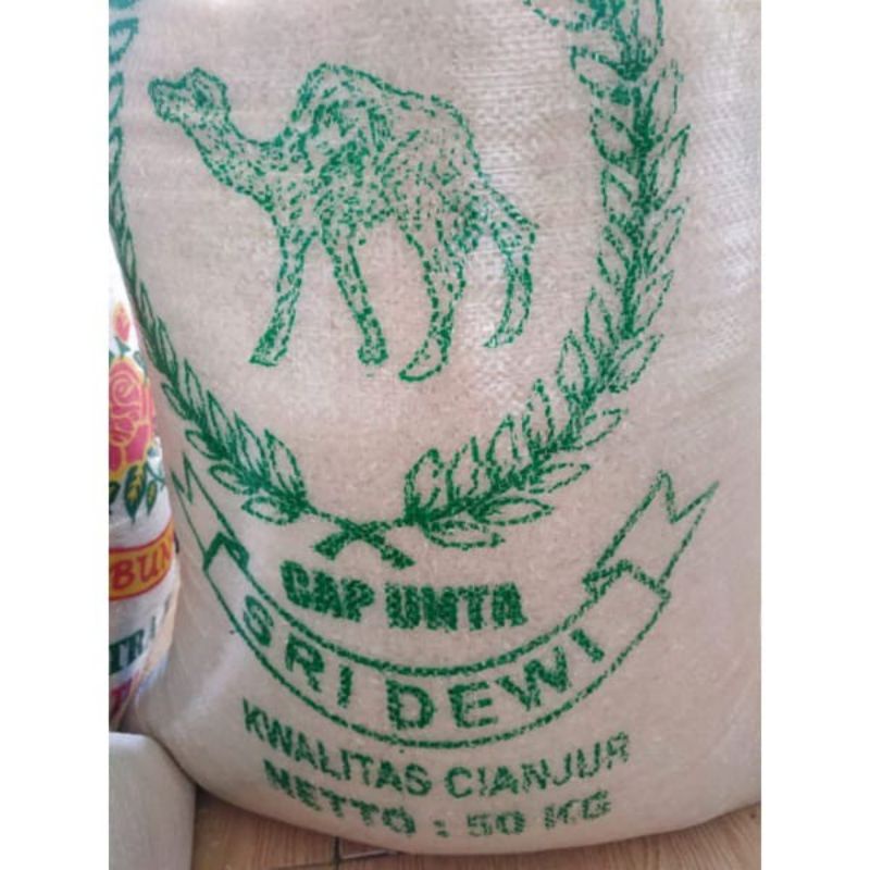 Jual BERAS SOLO 50KG | 50KG CHAT DULU | Shopee Indonesia