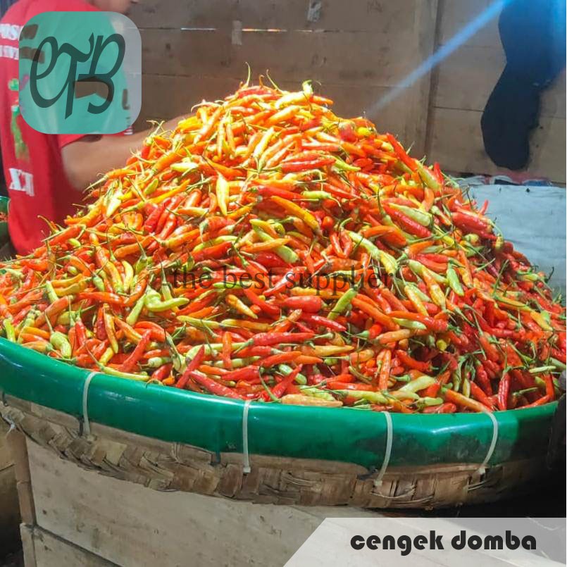 

Cabe Rawit Merah / Cengek Domba Segar