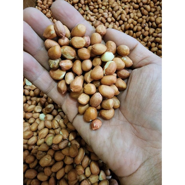 Kacang tanah import india 500gr kwalitas bagus