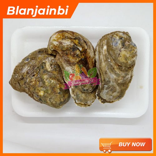 

Kerang Tiram Segar Bandung