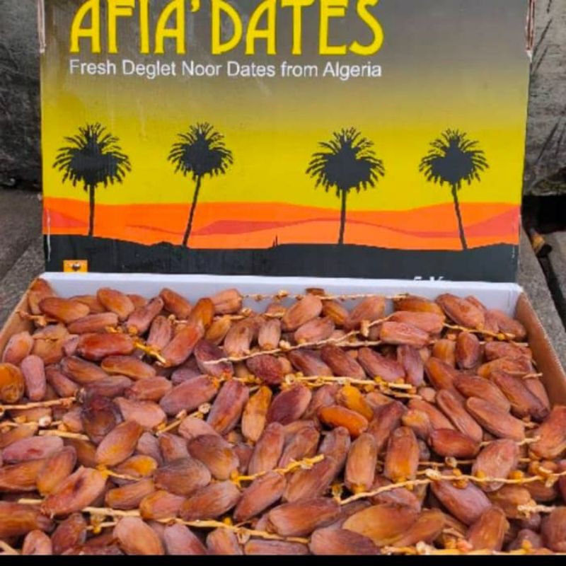 

Kurma Tunisia Tangkai 5kg