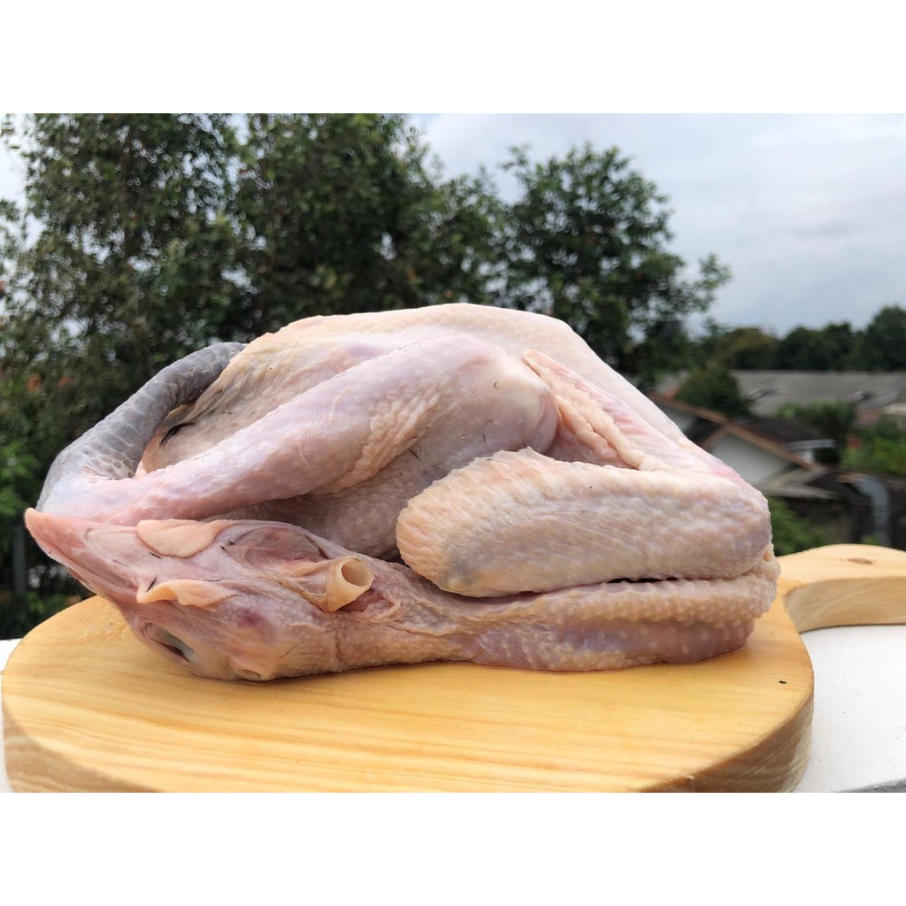 

Ayam Kampung Asli 500-600 gram (via grab/gojek)