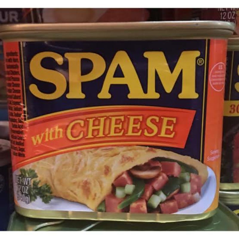 

hormel spam with cheese 340g