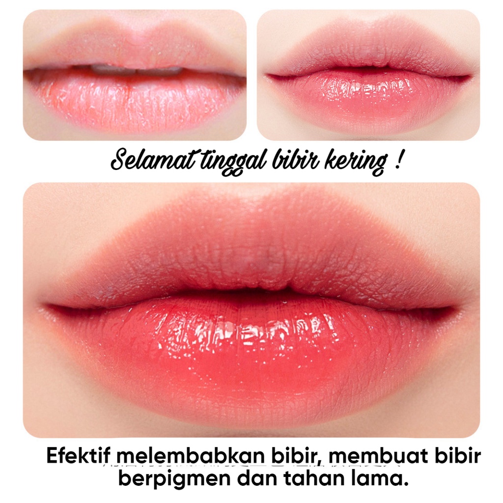 LIP BALM MOISTURIZING, PELEMBAB BIBIR