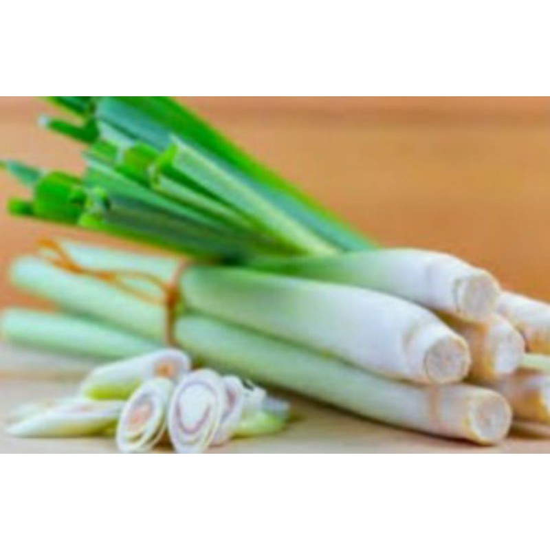 

Serai, Sereh 500 gr , Serai Wangi Atau Kamijara Rempah Untuk Penyedap Rasa dan Obat