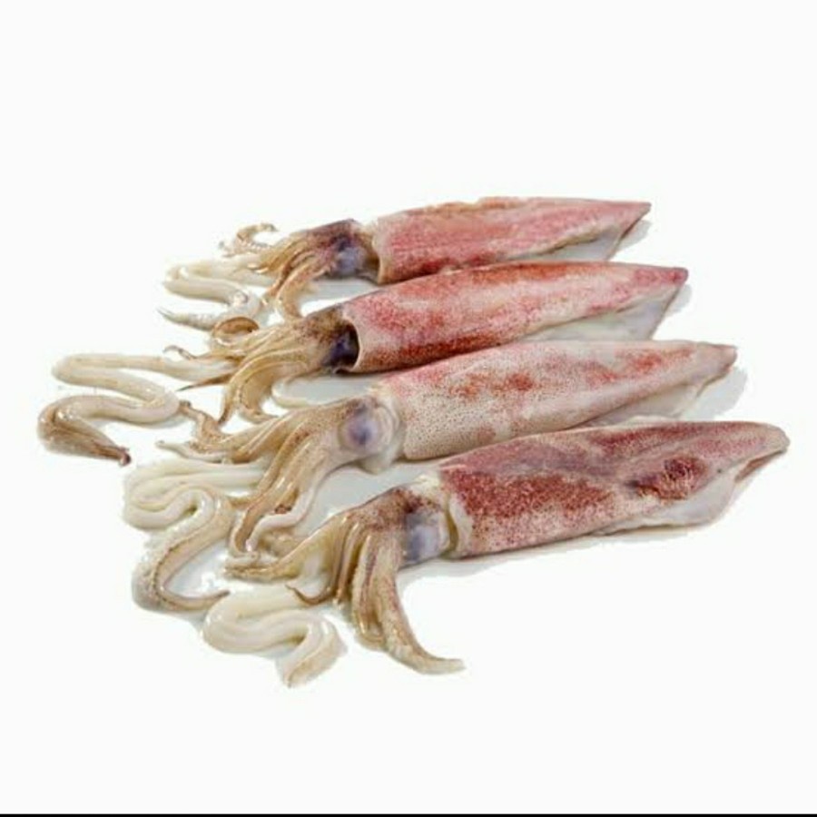 

Cumi segar fresh 1kg Pasar Bandung Berkah