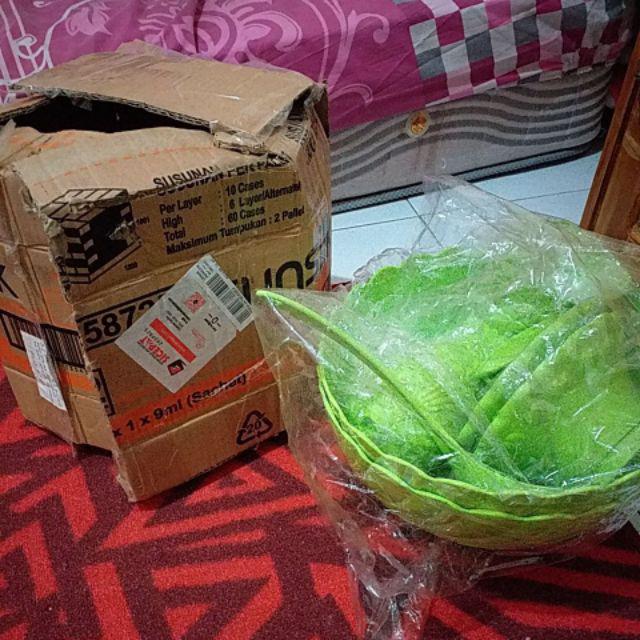 Tempat Wadah Es Buah Set Golden Sunkist - Mangkok Set Gelas Es Krim