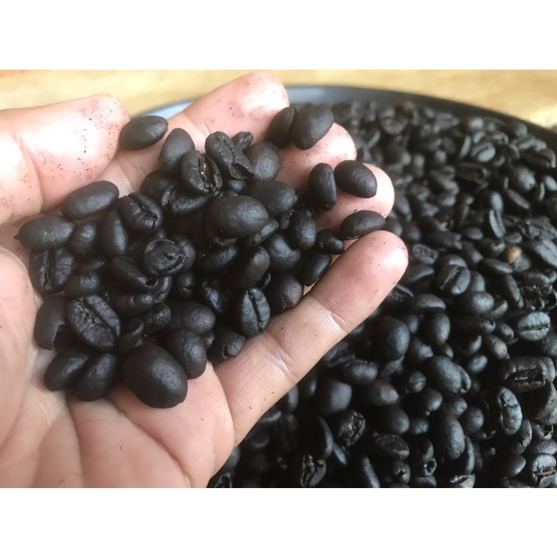 

Kopi Muara Kandes
