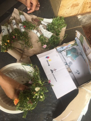 Tissue 10 Stek Moss Rose/krokot/bunga Pukul Sembilan