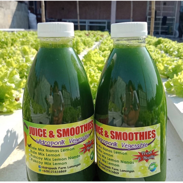 

Jus sayur kale mix nanas lemon