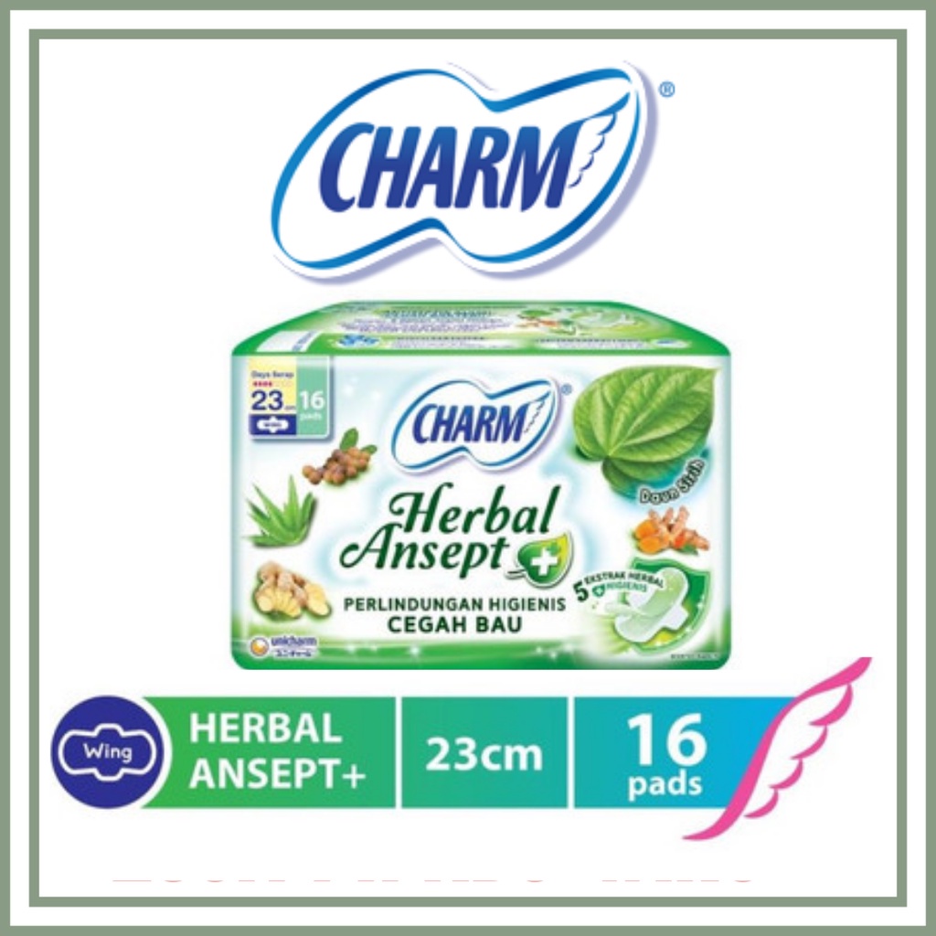 Charm Herbal Ansept Wing 23Cm 16P