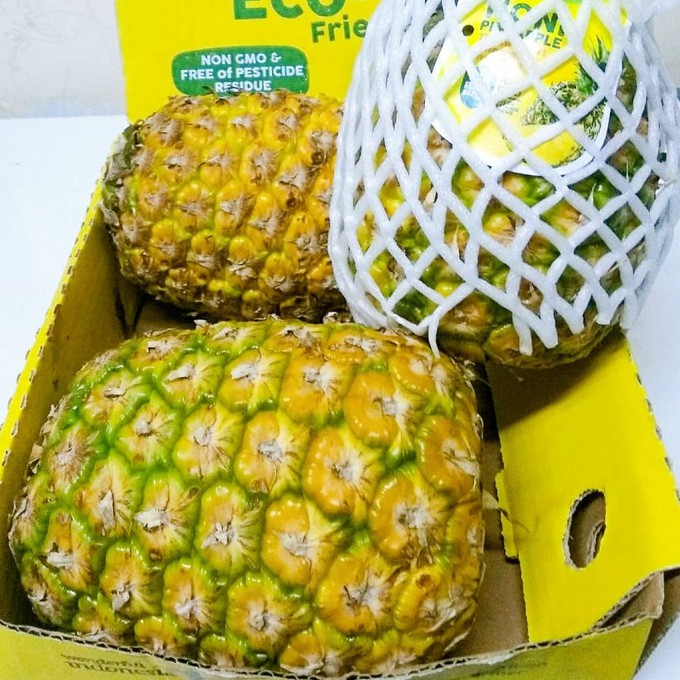 Buah Nanas Madu SUNPRIDE | HONI Pineapple