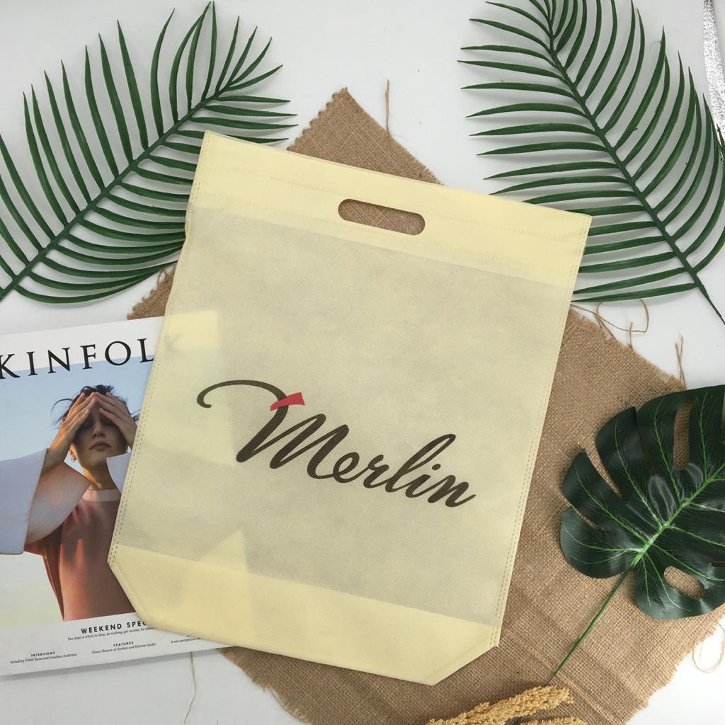 Tas Goodie Bag Spunbond Import 100gr - ACC5001