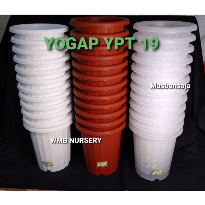 LUSINAN. pot yogap YPT 19