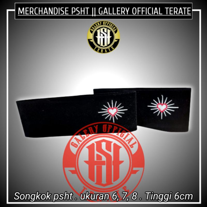 SONGKOK / KOPYAH / PECI DENGAN BORDIR LOGO PSHT (SH TERATE)
