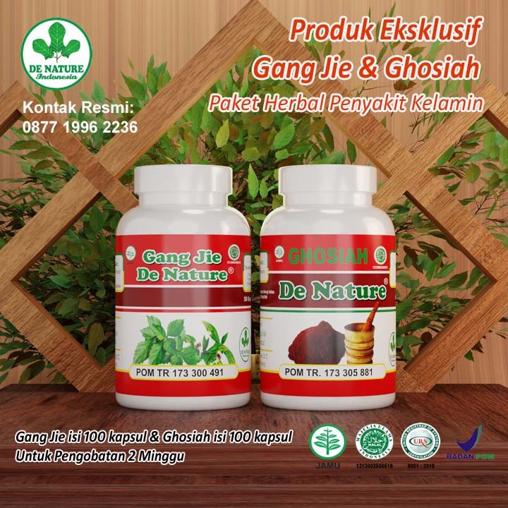 GANGJIE + GHOSIAH DENATURE OBAT HERBAL SIPILIS ALAMI DE NATURE KENCING NANAH GONORE RAJA SINGA BUAH 
