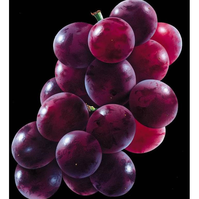 GRAPE / ANGGUR - FRAGRANCE OIL / BIBIT PARFUM - 120ML