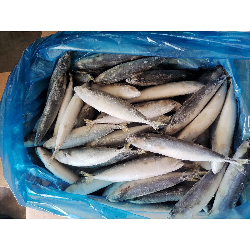 

ikan salam size 8/10 Frozen