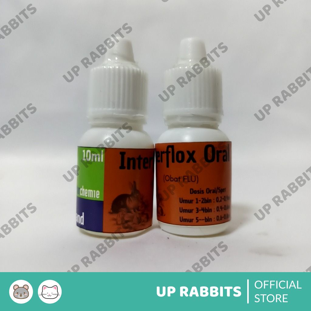 interflox Obat flu kelinci oral ampuh