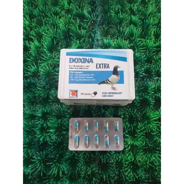 DOXINA EXTRA  MERPATI UNTUK PILEK CEKREH NGOROK MATA BER AIR JUAL 1 TABLET