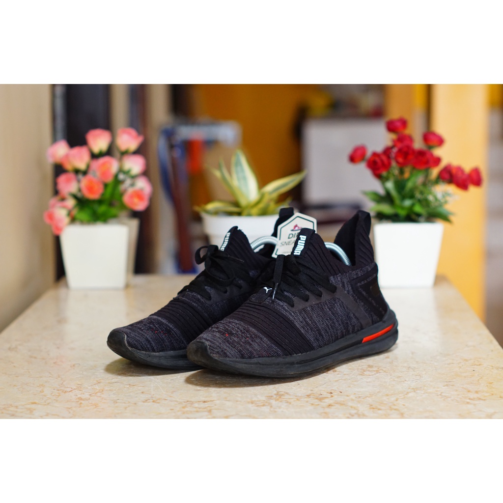 Sepatu Second Puma Ignite Limitless SE Evoknit