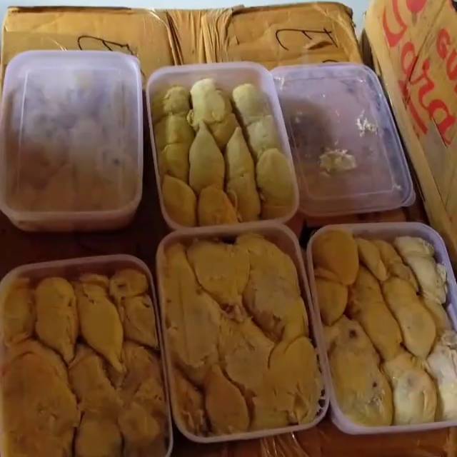 

Durian medan sidikalang premium