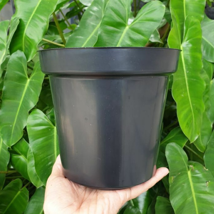 BASIC TINGGI RUPLAS 17A SRONDOL 17 (16cm) pot biasa tinggi mirip eifel USA