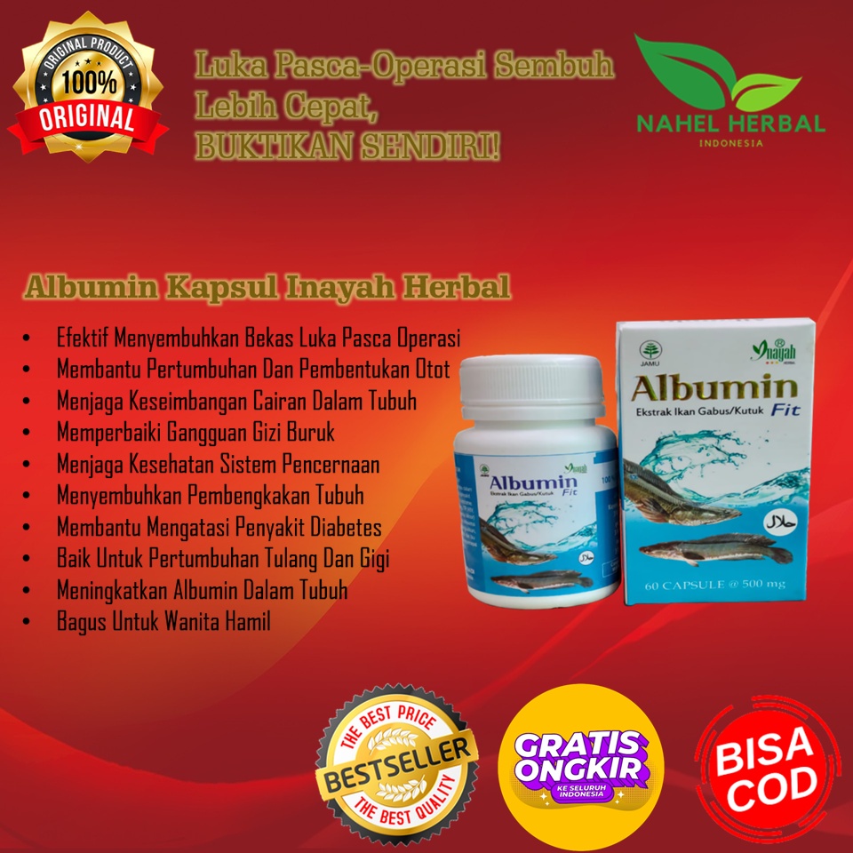 [Original 100% Bpom] Kapsul Kutuk Albumin Minyak Ikan Gabus - Obat Insomnia - Obat Penghilang Bekas 