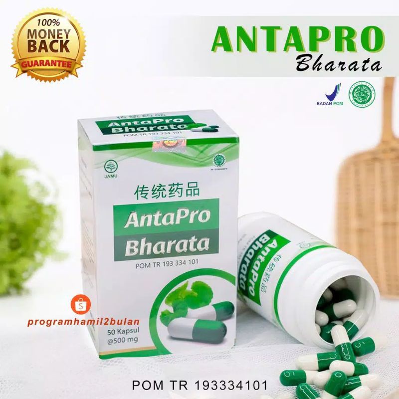 

ANTAPRO BHARATA ORIGINAL OBAT STROKE 100% ASLI HERBAL BPOM ATASI STROKE AMPUH TERBAIK