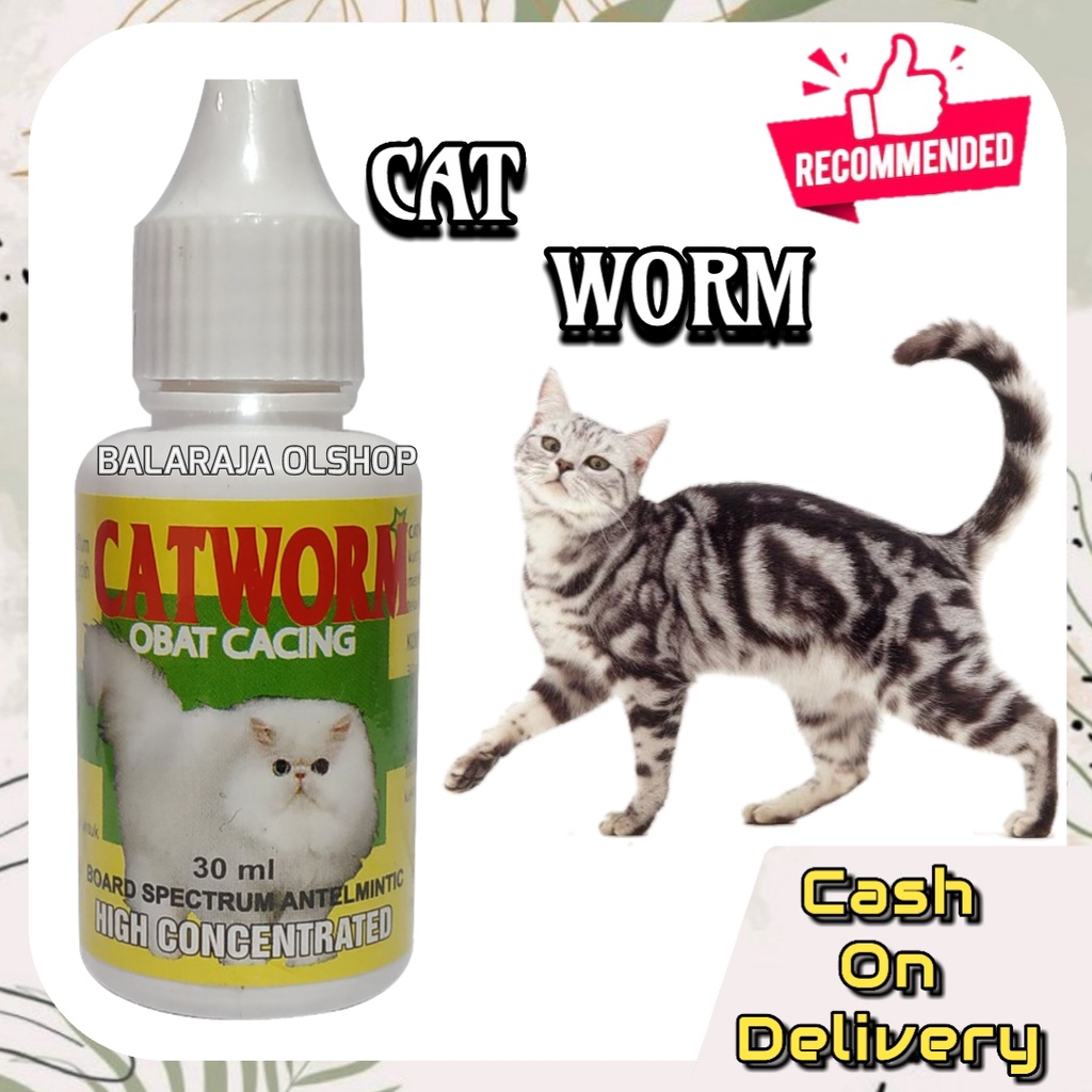 OBAT KUCING/KITTEN CACINGAN AMPUH MEMBASMI CACING PADA KUCING - CATWORM