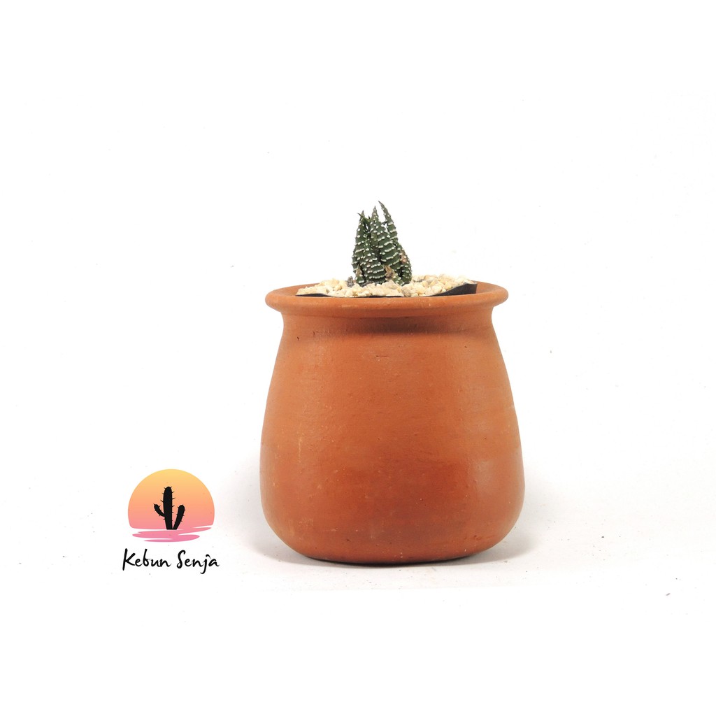  Pot  Terracotta  Tanah  Liat  Gerabah  D10  Odin Shopee Indonesia