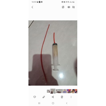 

paltem 1pcs no minus