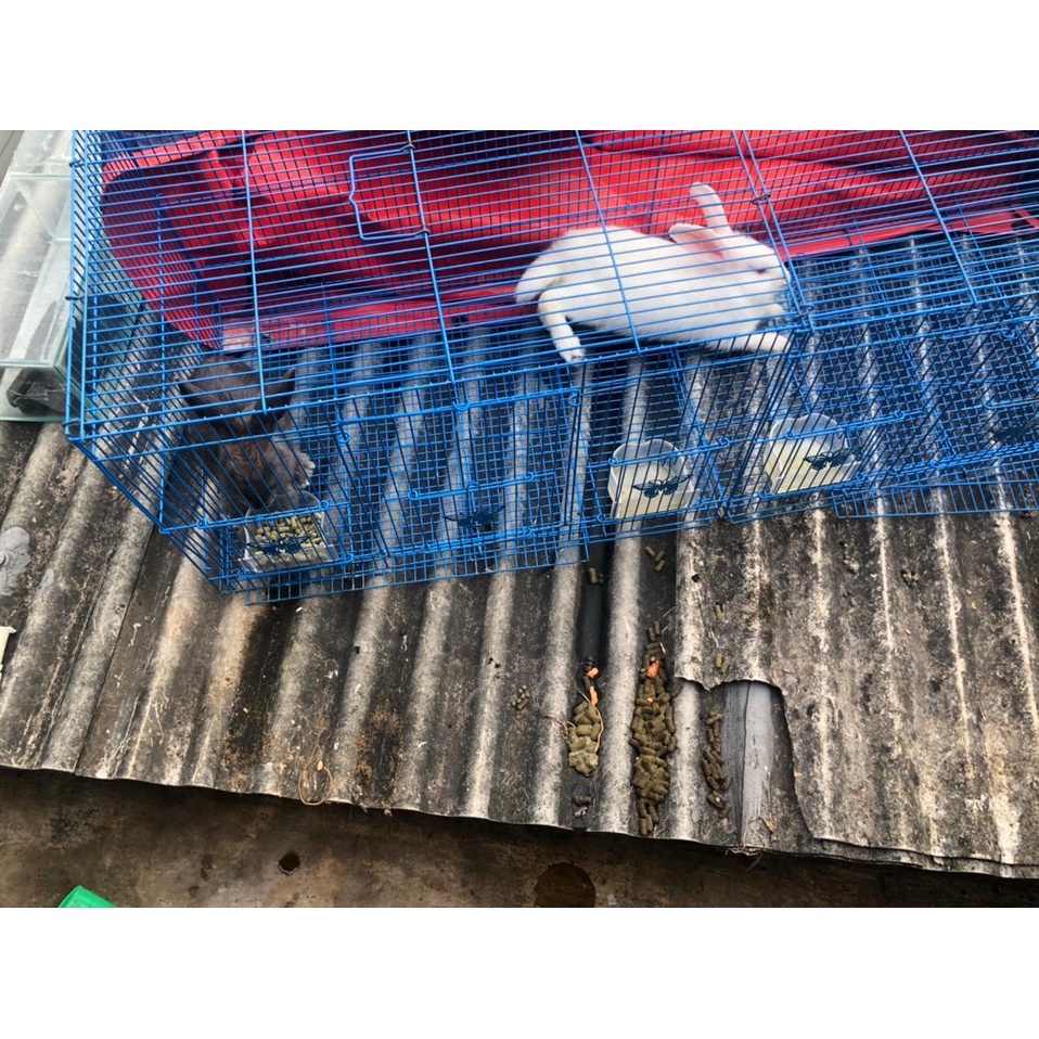 Pupuk Kandang Organik Murni Kotoran / Tai Kelinci Baik Untuk Tanaman Buah dan Hias