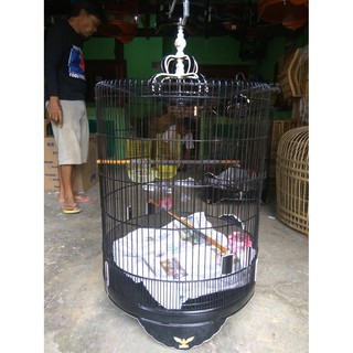 Pet Sangkar Murai Radja No1n2 Harga Sma Perawatan Burung