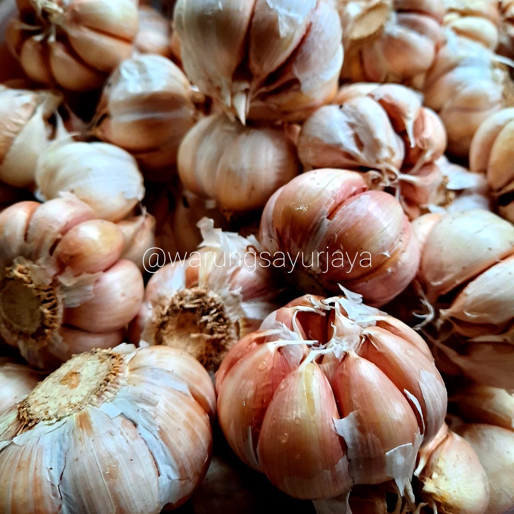 

Bawang Putih Murah Harga Pasar