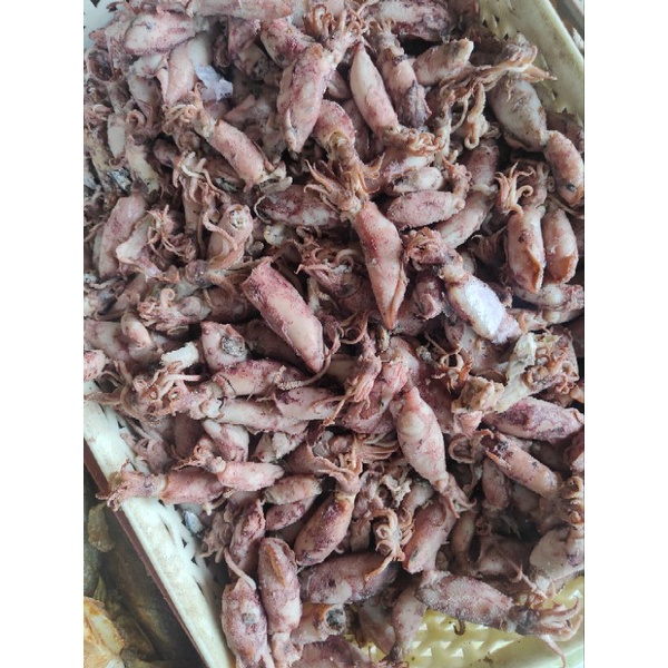 

Cumi Asin baby cumi