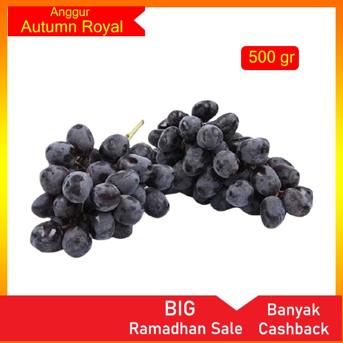 

Buah Anggur Hitam Autumn Royal
