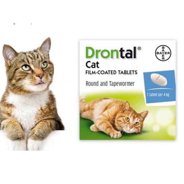 Ready Drontal Asli Obat Infeksi Cacing 1 Tablet Pada Kucing Shopee Indonesia