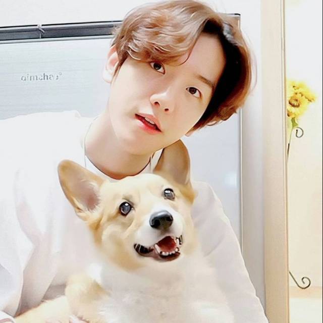 Photo Slide Baekhyun