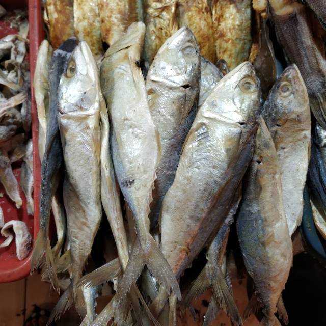 

Ikan Asin Peda Putih Gurih kemasan 500 gram Pasar Murah Jakarta