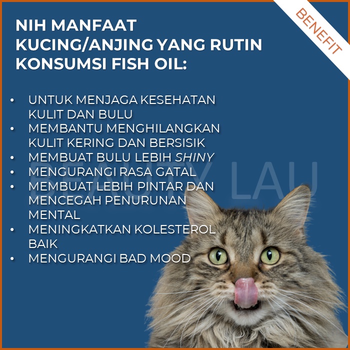 KAREIN VITAMIN KUCING MINYAK IKAN UNTUK ANJING HAMSTER KELINCI FISH OIL OMEGA 3 COD LIVER SUPLEMEN