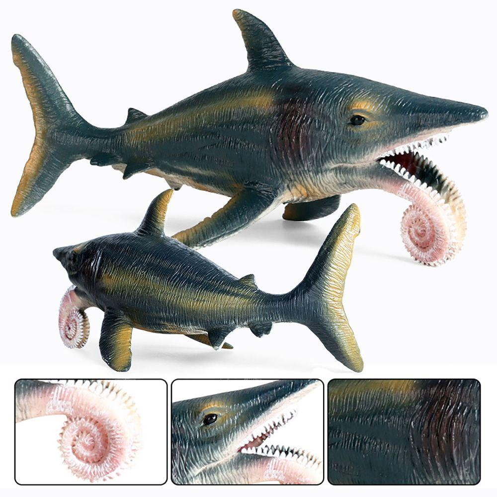 Model Helicoprion Lansekap Mikro Untuk Pembelajaran Organisme