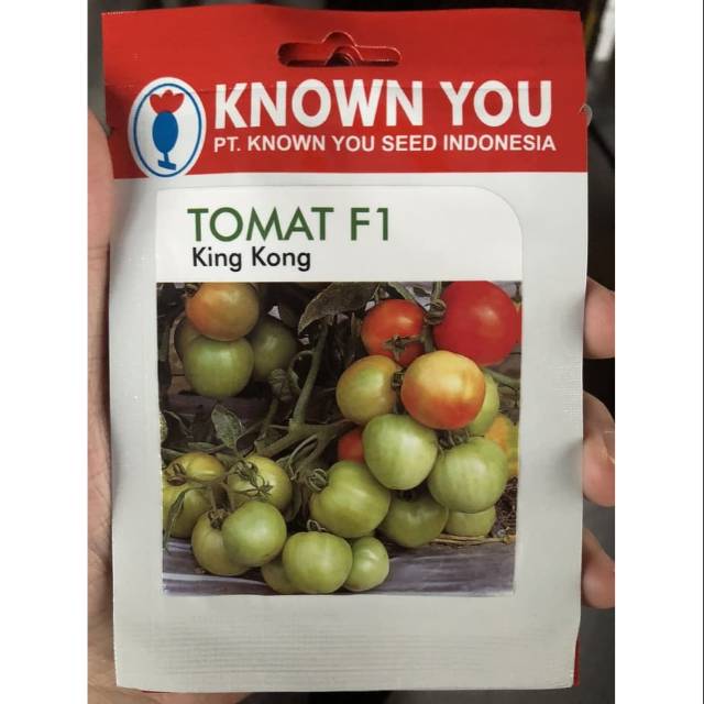 Benih Tomat King Kong F1 Known You Seed Small Pack