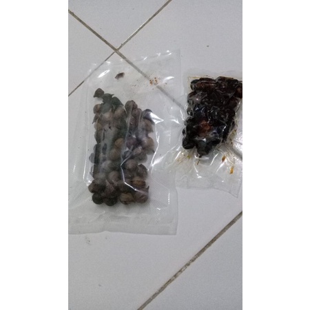

BAWANG HITAM LAKI 100G