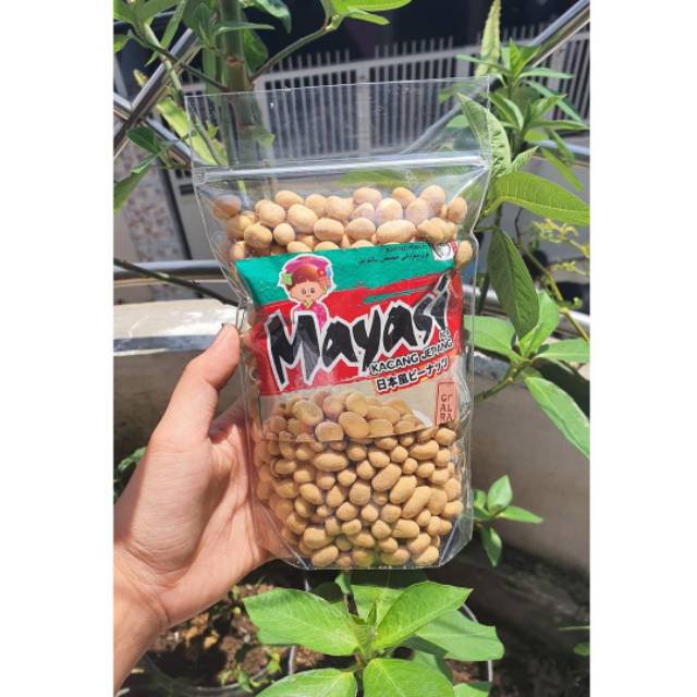 

Mayasi