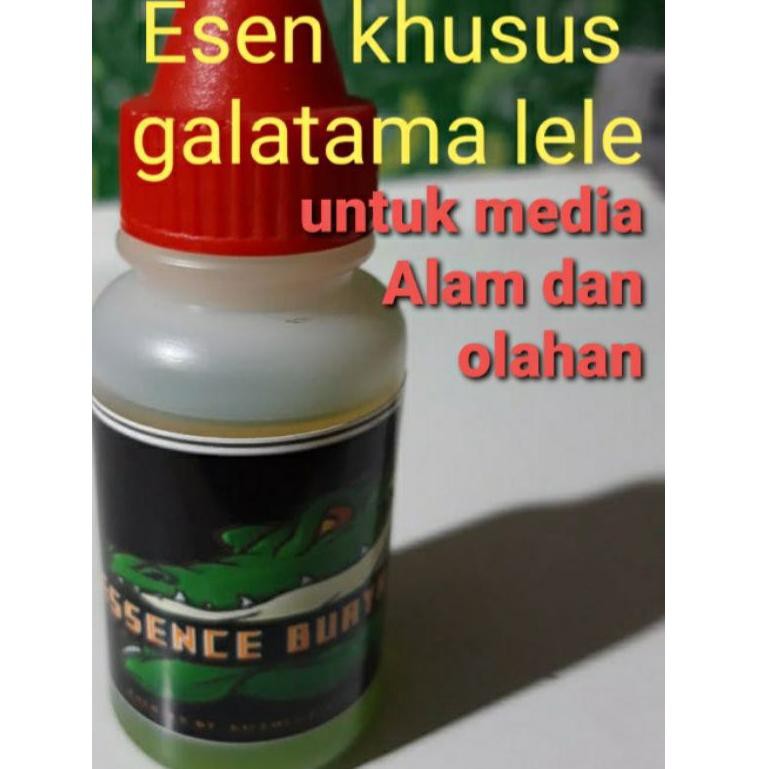 umpan essen galatama lele buaya darat (KODE Q4678)