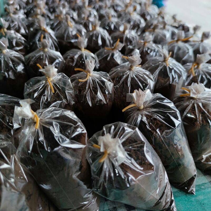 

BUBUK KOPI ACEH ASLI - BLACK COFFEE