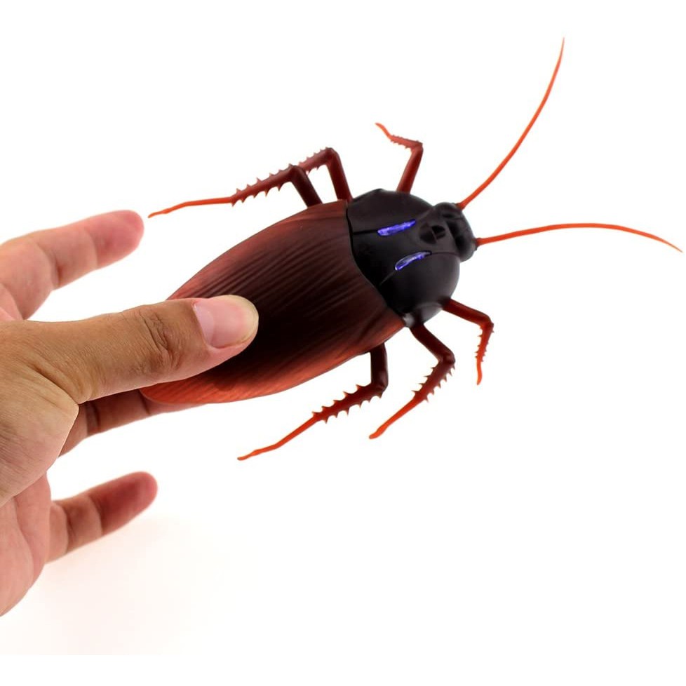 Kecoa Mainan Anak - Kecoa Remote Control - Mainan Kecoa RC - Mainan RC - Mainan Anak Remote Control
