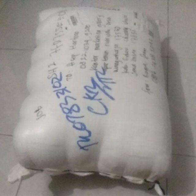 Inoac Kasur Busa Type Eon Lg D 23 Light Green  Uk 200 X 80 X 10 Cm