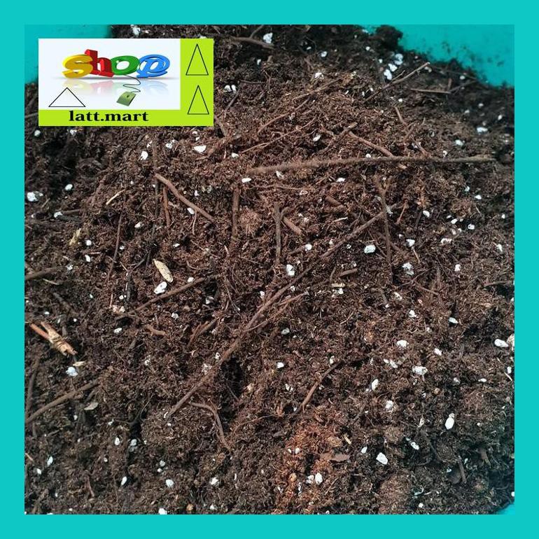 

Yu04Yts 2Kg Media Tanam Philodendron Sphagum Peat Moss Mixed+Pakis 100% Asli Yul0F40Ul